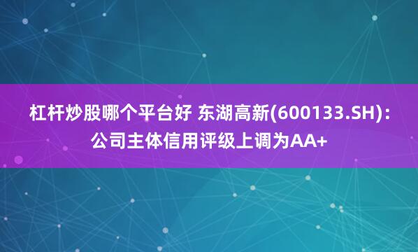 杠杆炒股哪个平台好 东湖高新(600133.SH)：公司主体信用评级上调为AA+