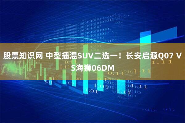股票知识网 中型插混SUV二选一！长安启源Q07 VS海狮06DM